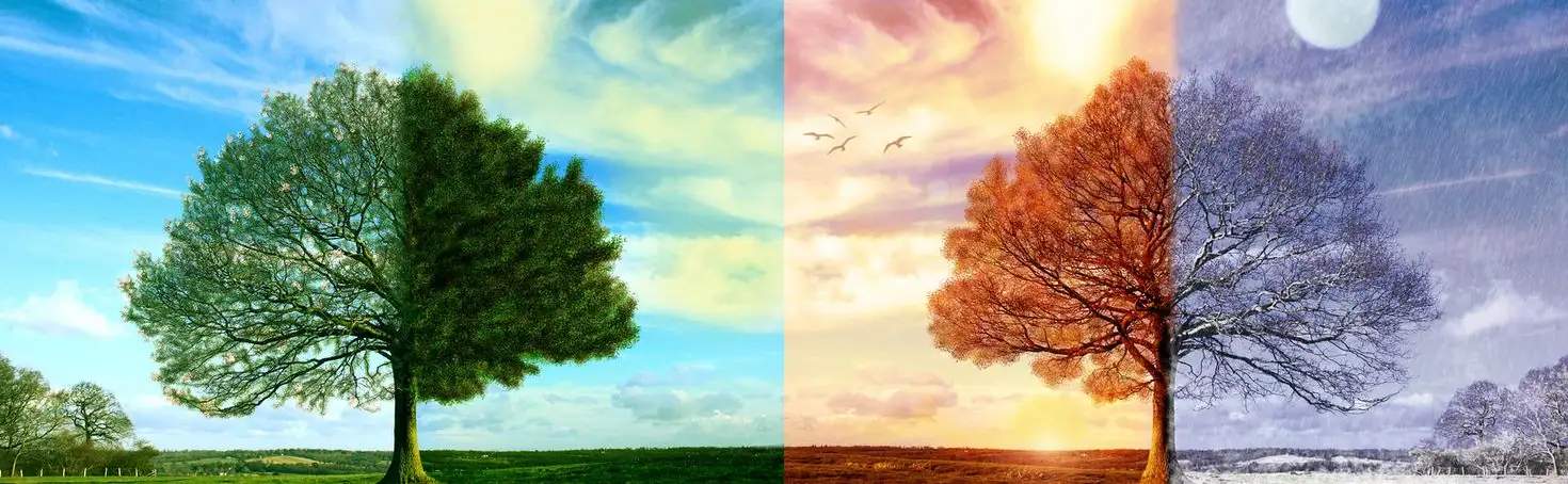 4 seasons Seasons in Finland